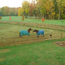 view of one of our horse pastures during fall